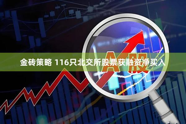 金砖策略 116只北交所股票获融资净买入
