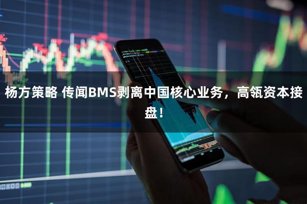 杨方策略 传闻BMS剥离中国核心业务，高瓴资本接盘！